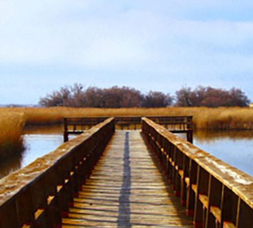 entorno_tablas_de_daimiel